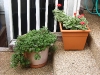 img_3438 img_3438
